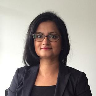 Mr. Devina Harhangi-Asarfi